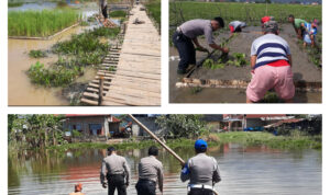 inCollage_20200610_185002181