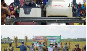 PhotoCollage_1595767260668